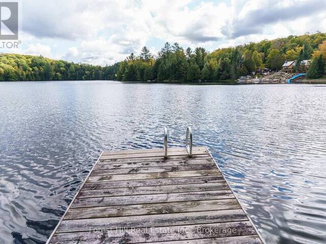 1041 LONGLINE LAKE ROAD Lake of Bays Ontario