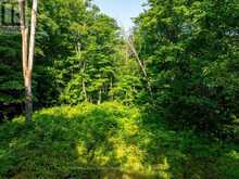 1650 HEKKLA ROAD Muskoka