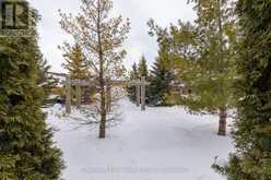 11 WILDROSE TRAIL Collingwood