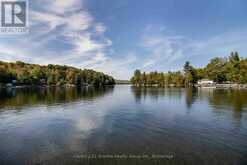 1054 THE NARROWS TRAIL Minden Hills