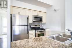 307 - 3 BRANDY LANE DRIVE Collingwood