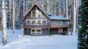 1033 POINT IDEAL ROAD Lake of Bays