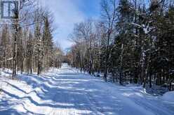 0 SOUTH HORN LAKE ROAD Burks Falls