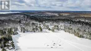 UNIT 4 - 2029 LITTLE HAWK LAKE ROAD Algonquin Highlands