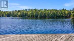 38 SR405 SEVERN RIVER Muskoka