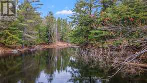 38 SR405 SEVERN RIVER Muskoka