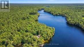 38 SR405 SEVERN RIVER Muskoka