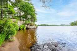 16LK-1 WOLF ISLAND Gravenhurst