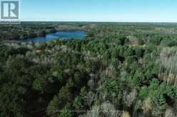 LOT 1 (BARKWAY/THOMAS RD) - 1067 THOMAS ROAD Gravenhurst