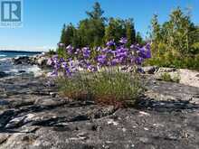 90 GREENOUGH POINT ROAD Northern Bruce Peninsula