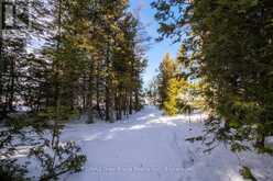 90 GREENOUGH POINT ROAD Northern Bruce Peninsula