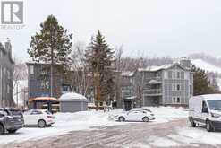 212 - 107 ANN HEGGTVEIT DRIVE The Blue Mountains