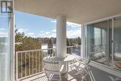 505 - 24 RAMBLINGS WAY Collingwood