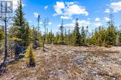 128 LITTLE PINE DRIVE Northern Bruce Peninsula