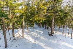 1026 PINE NEEDLE TRAIL Algonquin Highlands