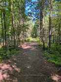 1026 PINE NEEDLE TRAIL Algonquin Highlands