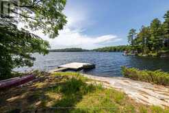 215 CRANE LAKE WAY The Archipelago