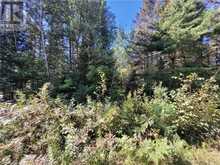 PART 2 OF LOT 33 CON 6 HWY 533 Mattawa