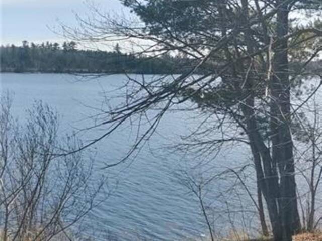 297 NICKEL LAKE SHORES ROAD Rainy River Ontario