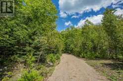 Lot 25 Richmond Bay RD|Hilton Township St. Joseph Island