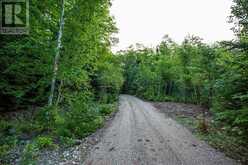 Lot 25 Richmond Bay RD|Hilton Township St. Joseph Island