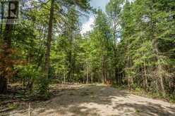 Lot 27 Richmond Bay RD|Hilton Township St. Joseph Island