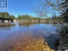 NEB002 Michipicoten River Wawa