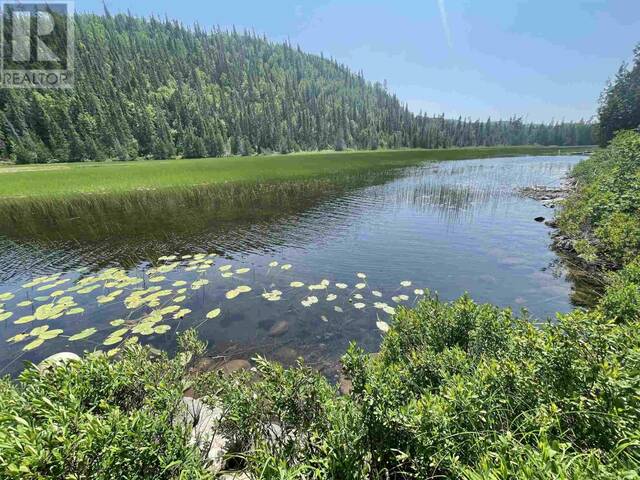 MIC002 Kinniwabi River (26-23) Michano Ontario