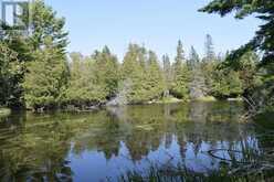 PCL 1150 Cranberry Creek at Lake Duborne Blnd River