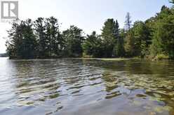 PCL 1150 Cranberry Creek at Lake Duborne Blnd River