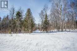 80 Lighthouse Point DR Thessalon