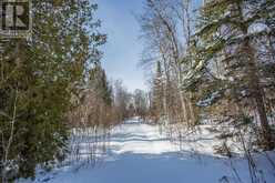 80 Lighthouse Point DR Thessalon