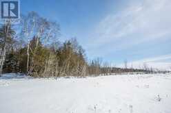 80 Lighthouse Point DR Thessalon