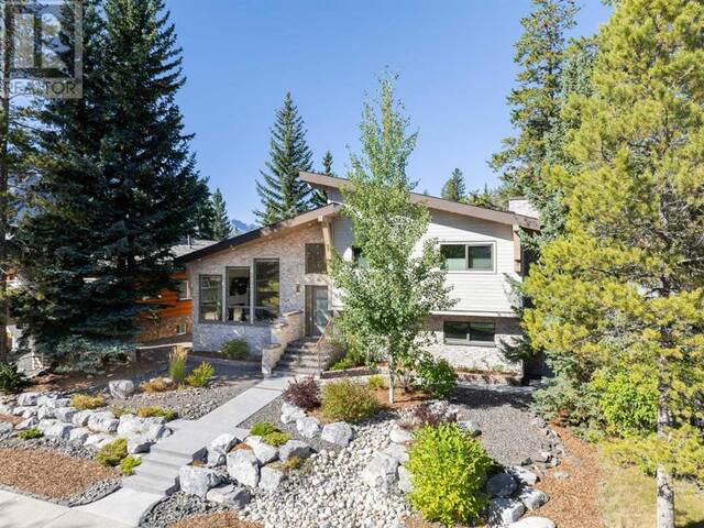 1010 14 Street Canmore