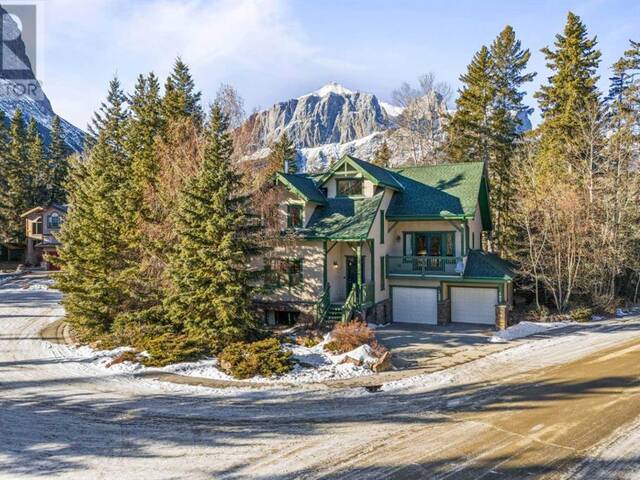 103 Padmore Canmore