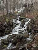 00 NORTH SHORE ROAD Rideau Lakes