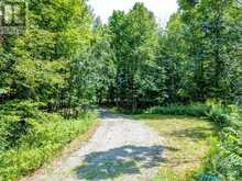 468 STEWARTVILLE ROAD White Lake