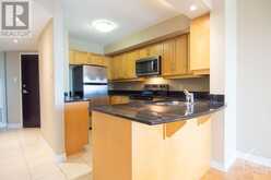 811 - 314 CENTRAL PARK DRIVE Ottawa