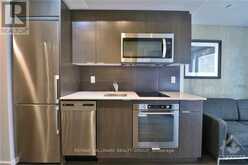 507 - 105 CHAMPAGNE AVENUE S Ottawa