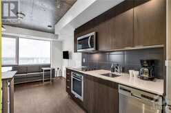 105 CHAMPAGNE AVENUE S UNIT#2117 Ottawa