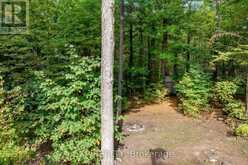 1186 KIPPEN ROAD McNab/Braeside