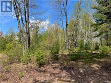 Lot 15 SANDY SHORES TRAIL Combermere