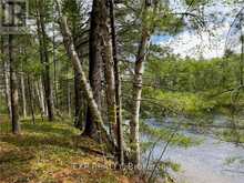 LOT 34 SANDY SHORES TRAIL Madawaska Valley