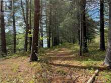 LOT 34 SANDY SHORES TRAIL Madawaska Valley