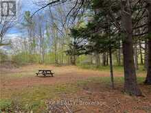 LOT 34 SANDY SHORES TRAIL Madawaska Valley