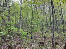 LOT 12 SANDY SHORES TRAIL Madawaska Valley