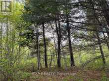 LOT 12 SANDY SHORES TRAIL Madawaska Valley