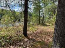 Lot 40 SANDY SHORES TRAIL Barrys Bay