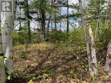 Lot 40 SANDY SHORES TRAIL Barrys Bay