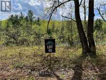 LOT 40 SANDY SHORES TRAIL Madawaska Valley